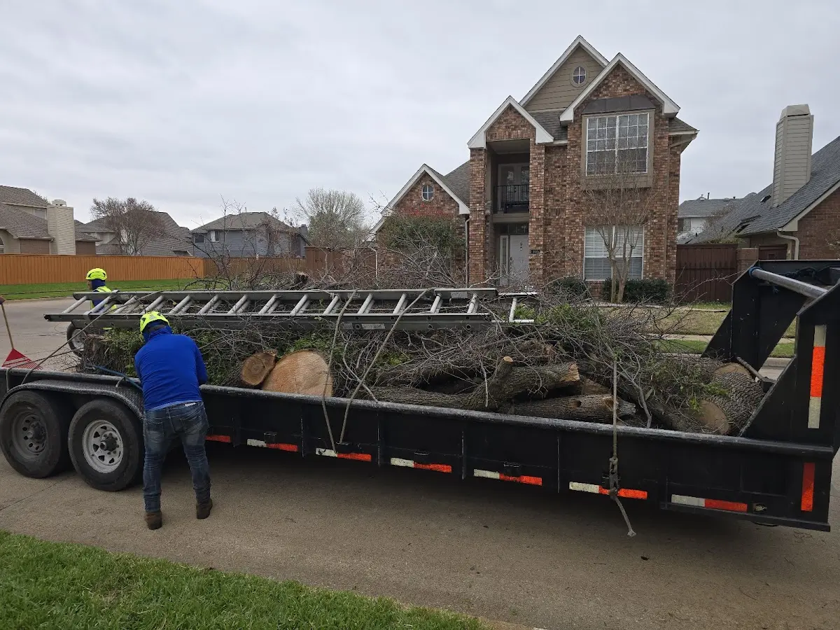 Expert Tree Removal with proper safety equipment in Warren
